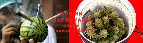 прущие грибы Абдулино