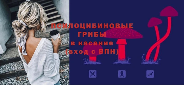амф Абинск