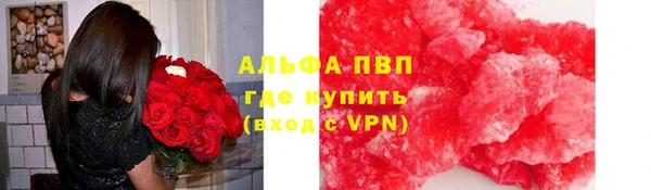 прущие грибы Абдулино