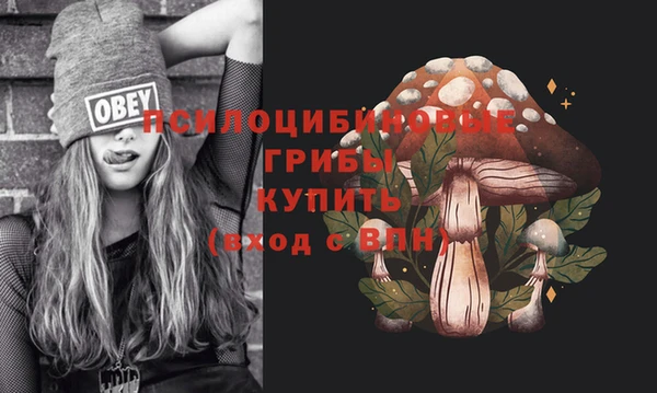 амф Абинск
