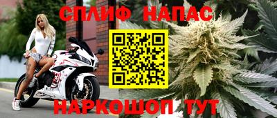 гидра Чебаркуль
