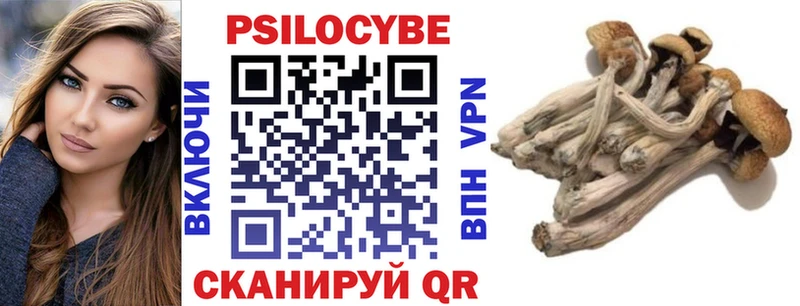 Псилоцибиновые грибы Psilocybine cubensis  закладки  Сарапул 